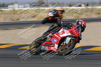 media/Feb-04-2023-SoCal Trackdays (Sat) [[8a776bf2c3]]/Turn 16 Set 2 (1125am)/